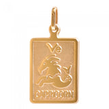 10K Yellow Gold Capricorn Pendant 33210-1233-Capricorn